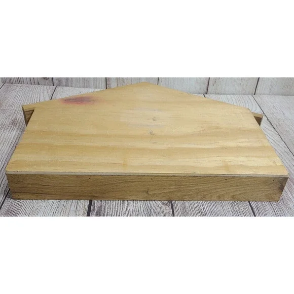 Lamb and Lion Manger Nativity Carved Wood Decor Holiday Winter